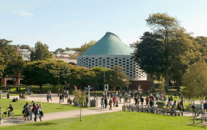 University of Sussex Eğitim Danışmanlığı